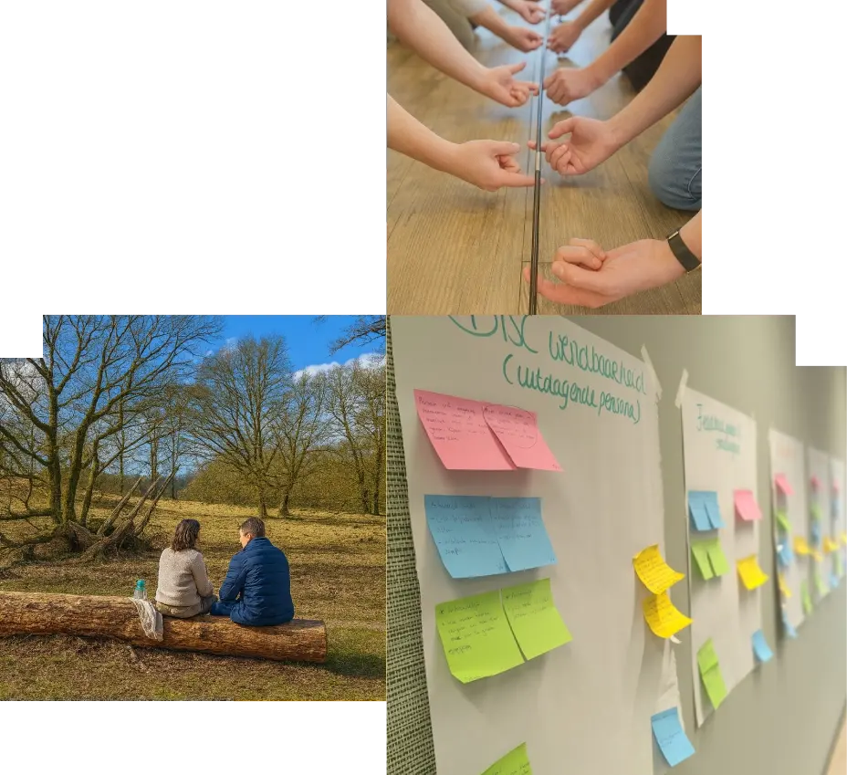 Onze diensten: impactvol en energiek